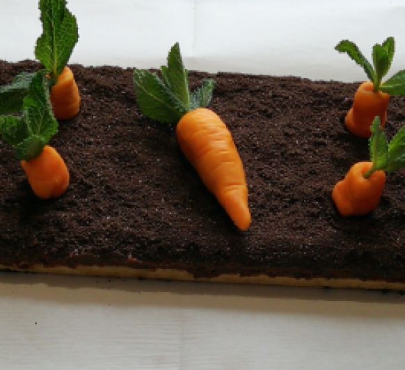 Tarta Huerto de Zanahoria con Tm5